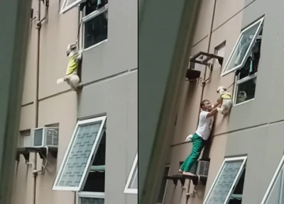 ¡20 minutos de terror perruno!