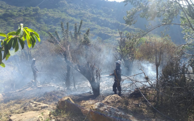 Santander en riesgo por incendios forestales
