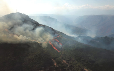 Más de 50 hectáreas quemadas en Aratoca