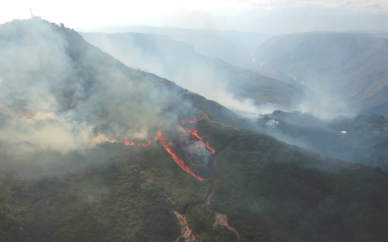 Más de 50 hectáreas quemadas en Aratoca