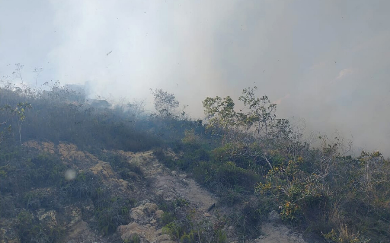 Más de 50 hectáreas quemadas en Aratoca