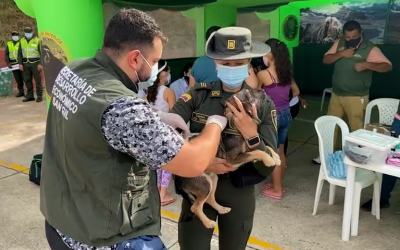 Más de 300 mascotas vacunadas en San Gil