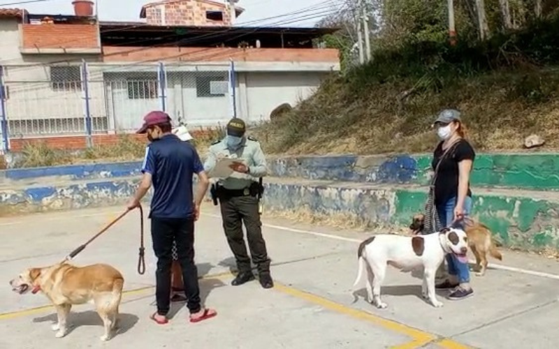 Más de 300 mascotas vacunadas en San Gil