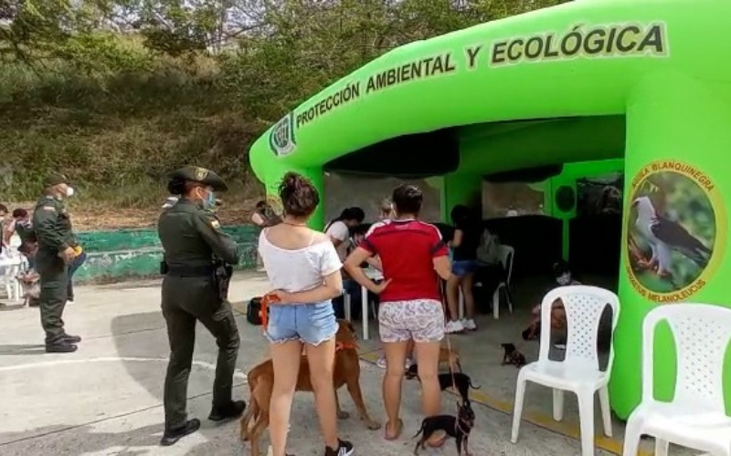 Más de 300 mascotas vacunadas en San Gil