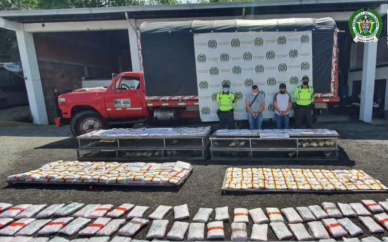 En video: 800 kilos de marihuana entre pollitos vivos