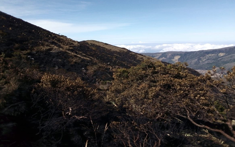 Finalmente apagado el incendio en el Páramo de Santurbán