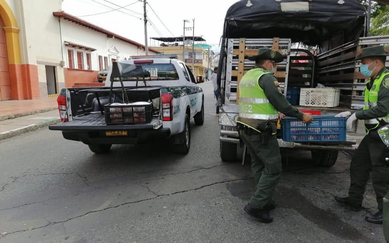 Ese viaje de carne en Bucaramanga era de caballo