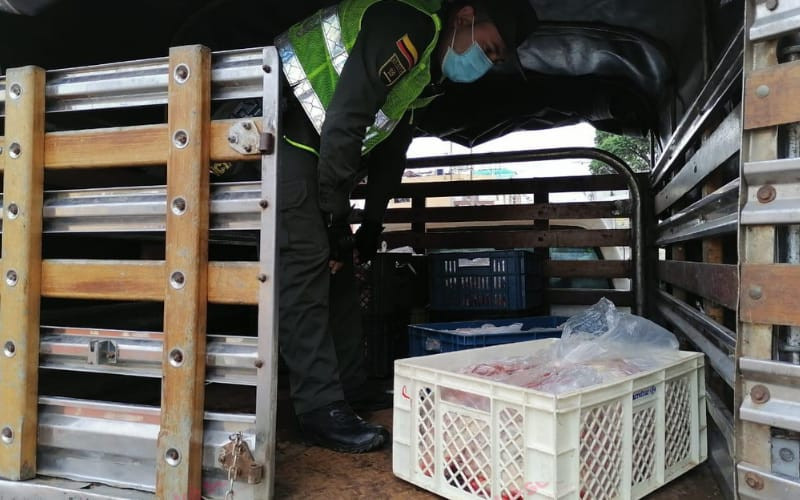 Ese viaje de carne en Bucaramanga era de caballo