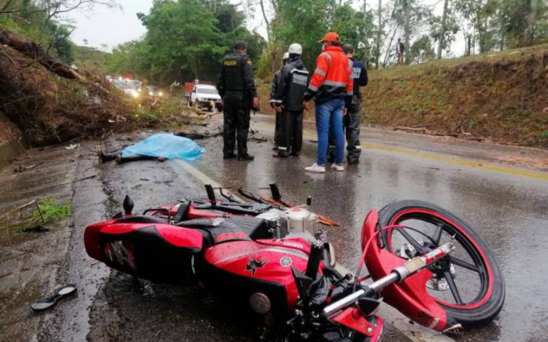 Caída de árbol le quitó la vida a un motorizado