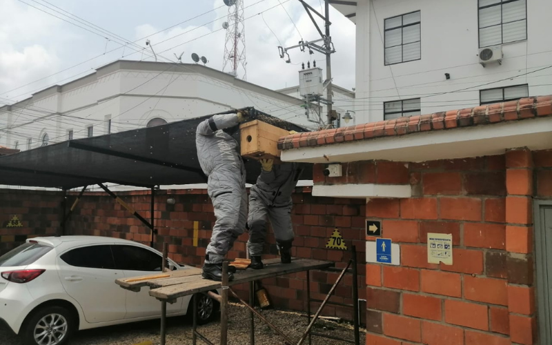 Bomberos atienden escape de gas y enjambre