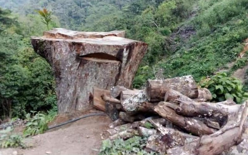 Defendiendo el agua en Bogotá