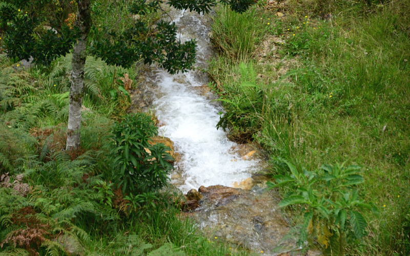 ‘La Ranchería’ será para proteger fuentes hídricas