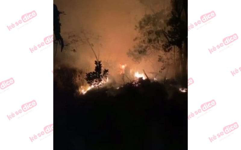Intenso incendio en El Guamito de Los Santos