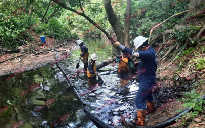 Angustia en La Fortuna por el grave daño ambiental