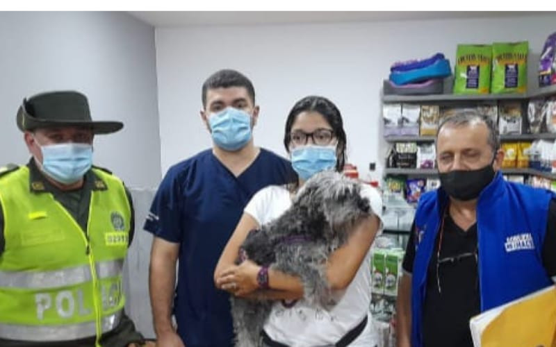 Maltrato animal conmociona a Bucaramanga