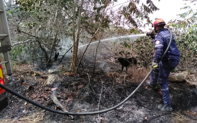 Finalmente se apagó el forestal en Girón