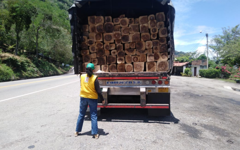 Madera decomisada en la vía a Sabana de Torres