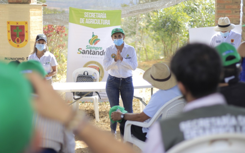 Citricultores santandereanos se capacitan para prevenir plagas