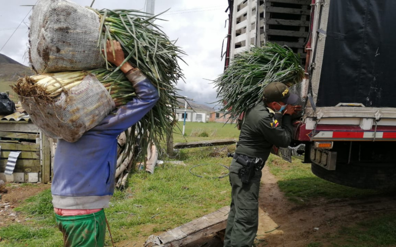 Uniformados apoyan a agricultores en Berlín