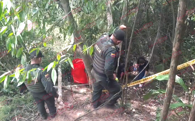 Hallan restos óseos en zona boscosa de Quinta Estrella