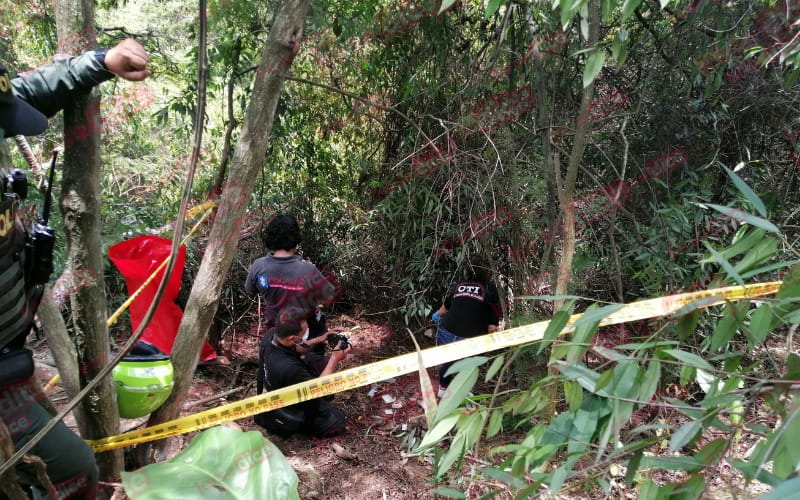 Hallan restos óseos en zona boscosa de Quinta Estrella