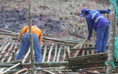 “Invasión dejó grave daño ambiental”, Cdmb