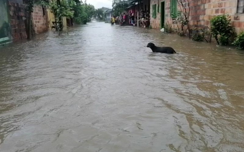 En Puente Sogamoso piden ayuda por inundaciones