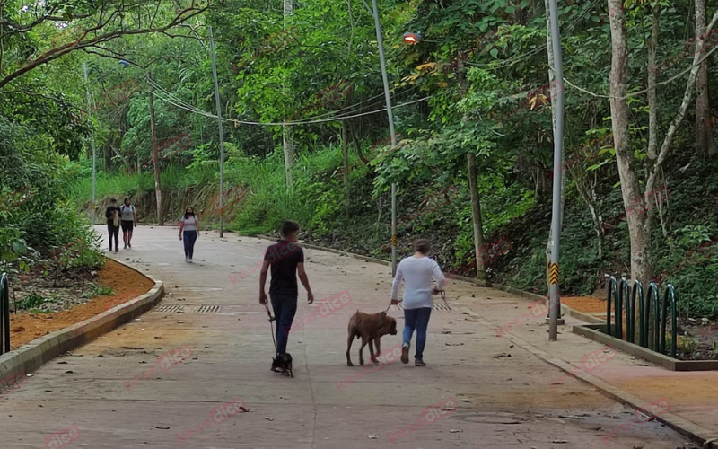 Cogieron de ‘atracadero’ el sendero Los Caminantes