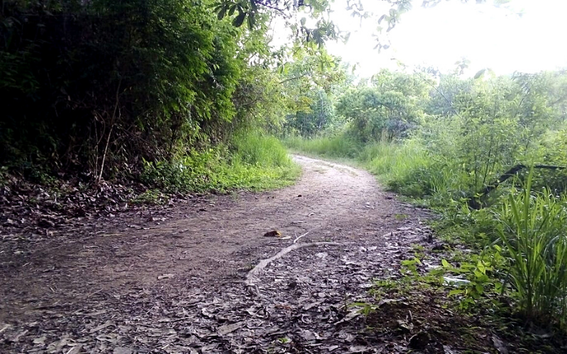 Cogieron de ‘atracadero’ el sendero Los Caminantes