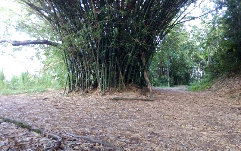 Cogieron de ‘atracadero’ el sendero Los Caminantes