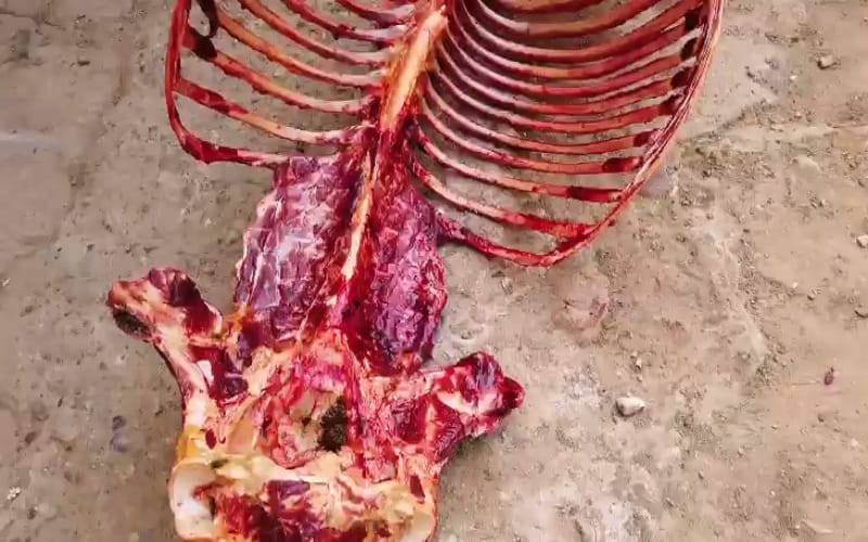 Incautan más carne de caballo lista para vender