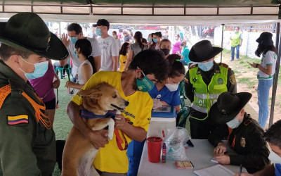 Jornada de bienestar para mascotas en El Dangond