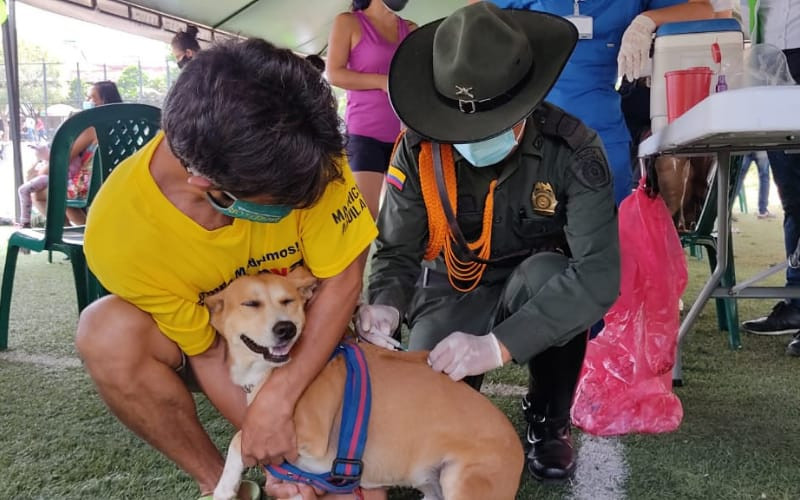 Jornada de bienestar para mascotas en El Dangond
