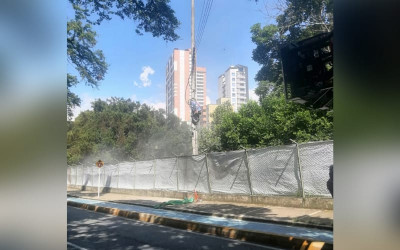 Atacado por abejas en el parque de Mejoras Públicas