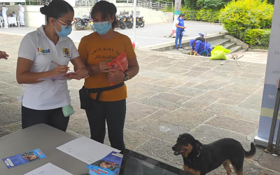 Donatón por los perritos y gaticos en condición de calle