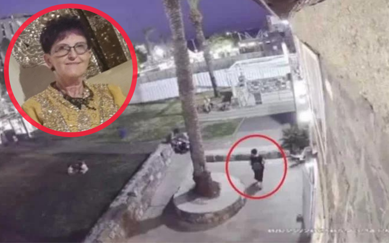 En video: Palmera cayó y mató a una mujer en Israel