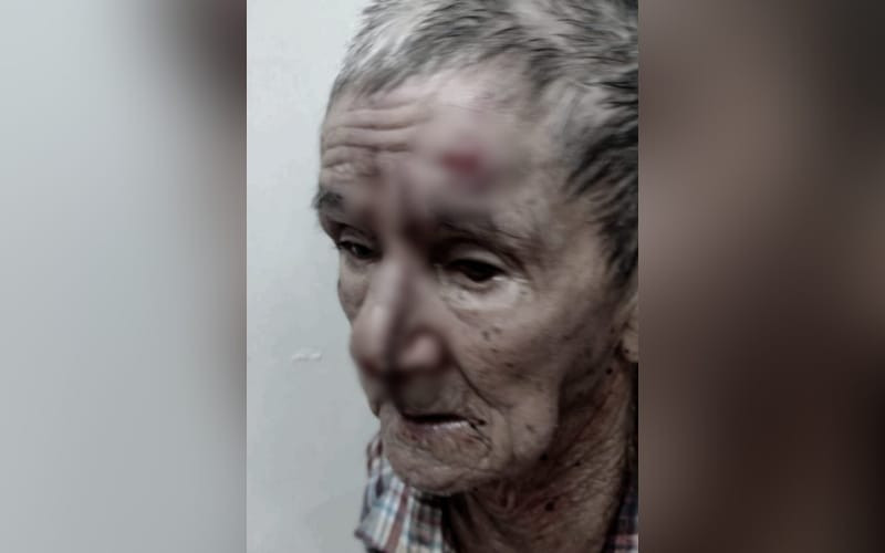 Atroz ataque contra un abuelo en el parque de Las Palomas