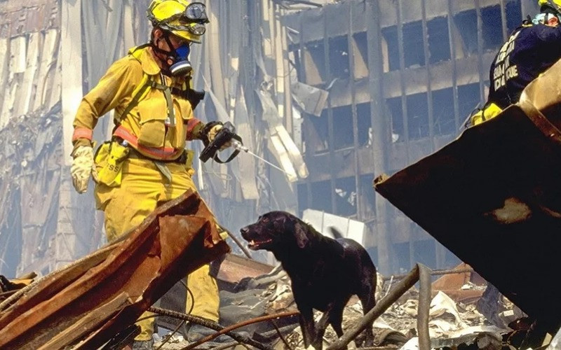 Los héroes de 4 patas en el atentado del 11 de Septiembre