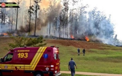 Siete fallecidos por avioneta estrellada en Sao Paulo