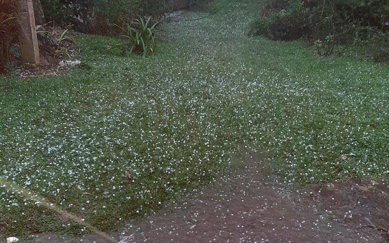 Granizada en Confines hace sufrir a agricultores