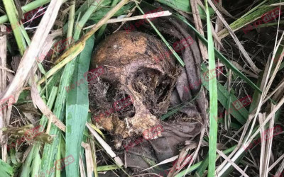 Encontraron cráneo humano en Los Colorados