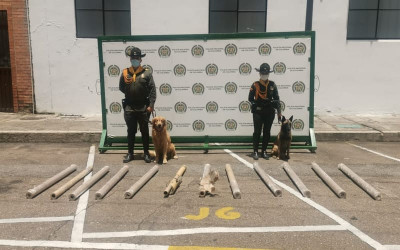 Perros policía pillaron ‘narcoencomienda’ en el Gaitán