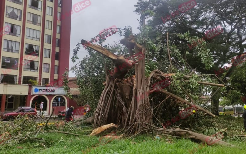 Bucaramanga y el Área con complicaciones por lluvias