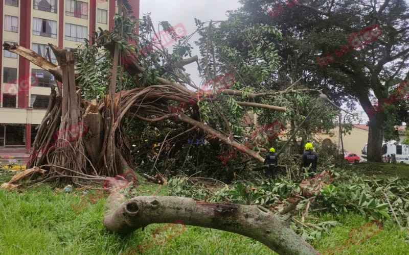 Bucaramanga y el Área con complicaciones por lluvias