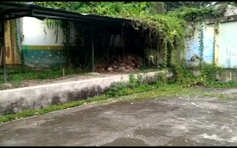 Denuncian notable deterioro de colegio en El Playón