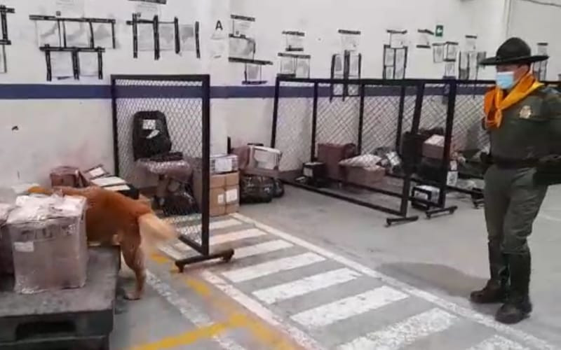 El olfato canino se ‘pilló’ una ‘narco-encomienda’ en el Gaitán