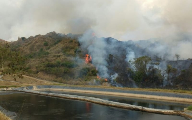 Al parecer provocaron incendio en El Carrasco