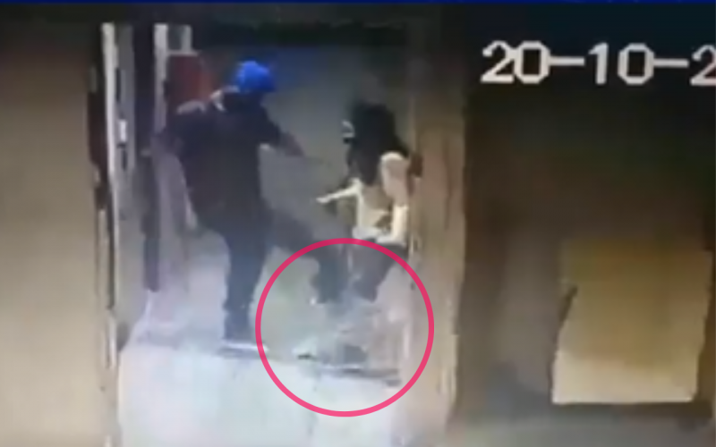 Video: Con una patada a la cabeza mató a perro guía