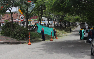 Zonas verdes reciben mantenimiento en Piedecuesta