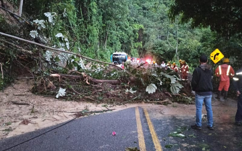 Lluvias y vientos provocaron bloqueo hacia San Alberto